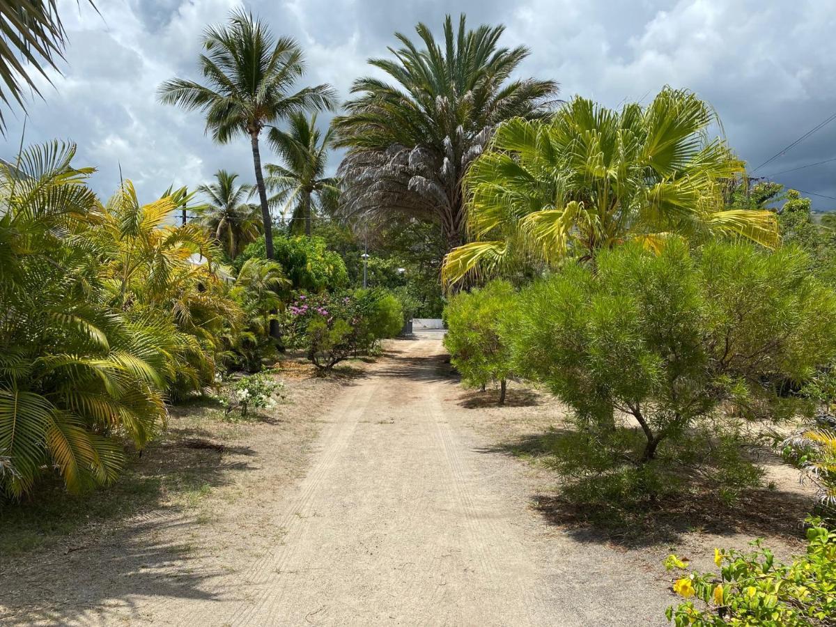 Villa & Bungalow 'Coco Des Sables' Les Pieds Dans L'Eau لا سالين لو باين المظهر الخارجي الصورة