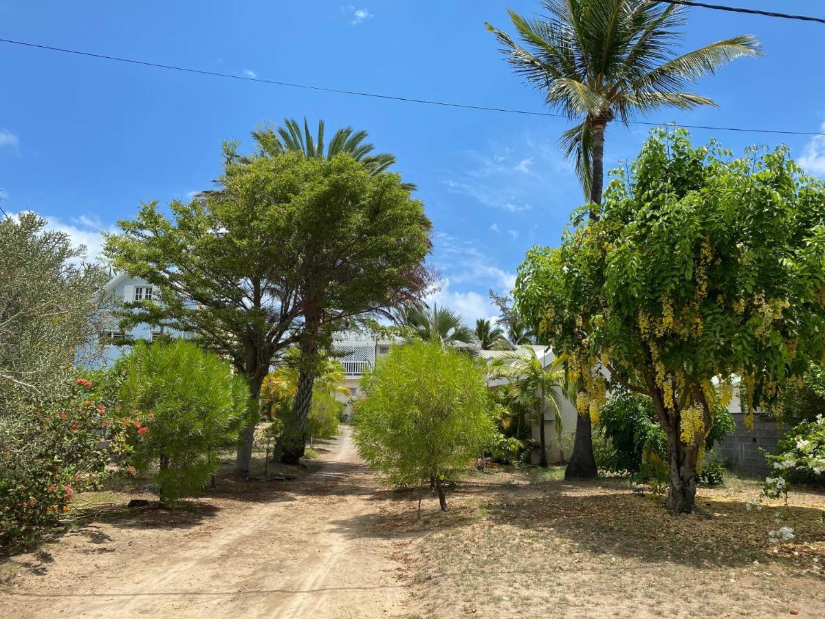 Villa & Bungalow 'Coco Des Sables' Les Pieds Dans L'Eau لا سالين لو باين المظهر الخارجي الصورة